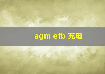 agm efb 充电